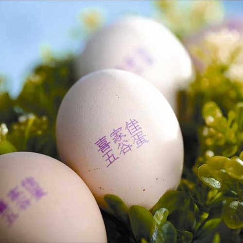 日化用品